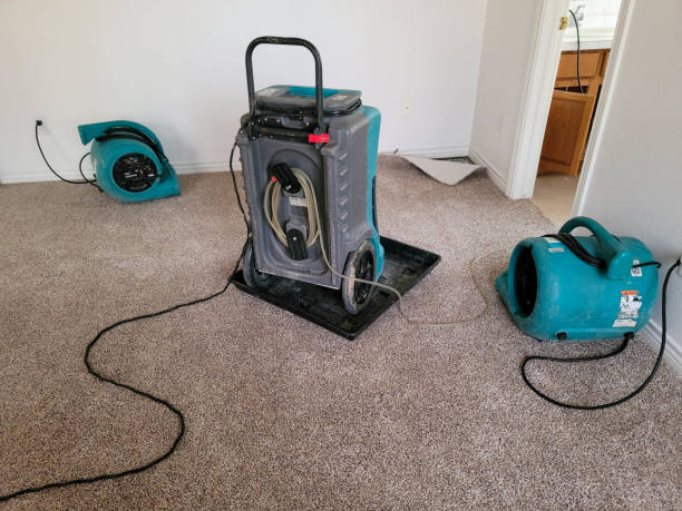 Best Ceiling water damage repair  in Cleveland, AL