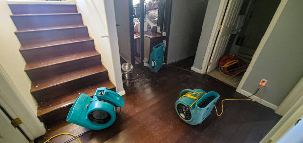 Best Local water damage restoration  in Cleveland, AL