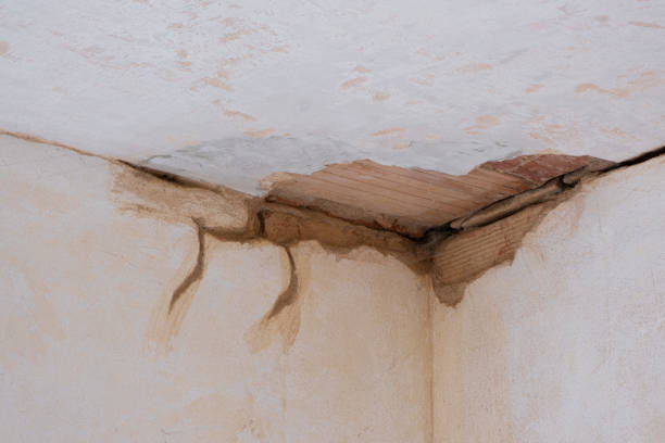Cleveland, AL Water damage restoration Company