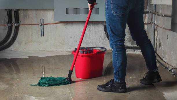 Best 24-hour water damage restoration  in Cleveland, AL