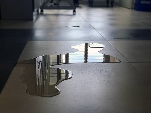 Best Water damage restoration near me  in Cleveland, AL