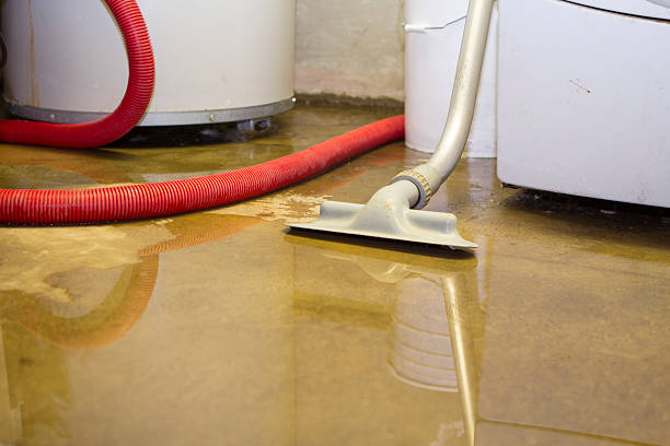 Best Local water damage restoration  in Cleveland, AL