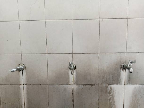 Best Water damage restoration cost  in Cleveland, AL