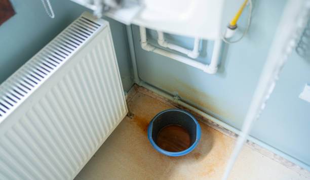 Best Water damage restoration specialists  in Cleveland, AL