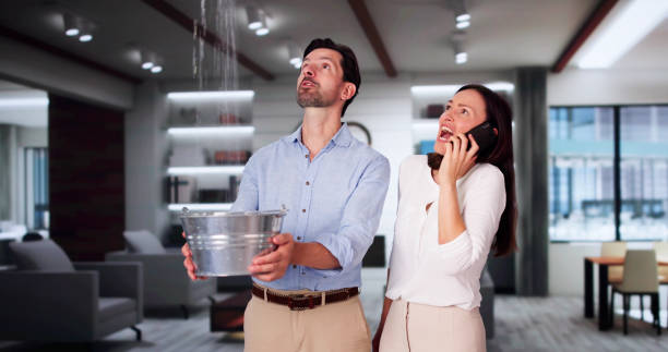 Best Mold removal after water damage  in Cleveland, AL